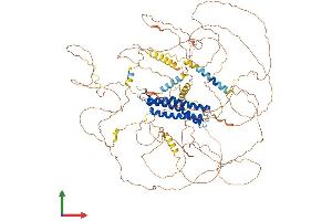 AlphaFold protein structure predicition of Human Recombinant DLGAP2 Protein, UniprotID Q9P1A6