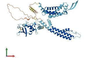 AlphaFold protein structure predicition of Mouse Recombinant Kcnc1 Protein, UniprotID P15388 (KCNC1 Protein (AA 1-511) (His tag))