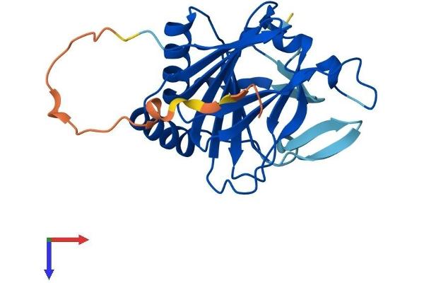 ALKBH2 Protein (AA 1-239) (His tag)