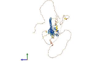 Protein Structure (PS) image for Heat Shock Transcription Factor 4 (HSF4) (AA 1-492) protein (His tag) (ABIN7556187)