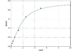 A typical standard curve