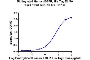 ELISA image for Epidermal Growth Factor Receptor (EGFR) (AA 25-645) protein (His-Avi Tag,Biotin) (ABIN7274527)