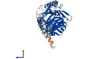 Protein Structure (PS) image for serpin Peptidase Inhibitor, Clade B (Ovalbumin), Member 10 (SERPINB10) (AA 1-397) protein (His tag) (ABIN7546155)