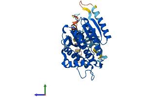 AlphaFold protein structure predicition of Human Recombinant RDH14 Protein, UniprotID Q9HBH5