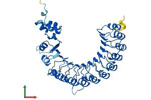Protein Structure (PS) image for F-Box and Leucine-Rich Repeat Protein 14 (FBXL14) (AA 1-400) protein (His tag) (ABIN7558673)