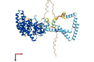 ST7L Protein (AA 1-559) (His tag)