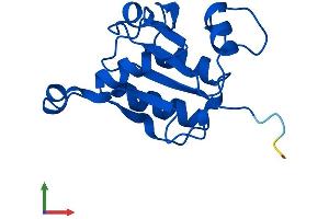 Protein Structure (PS) image for Fucose Mutarotase (FUOM) (AA 1-154) protein (His tag) (ABIN7547809)