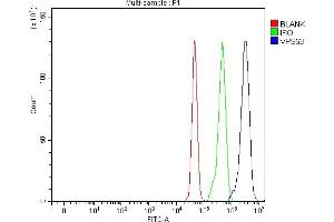 Flow Cytometry analysis of U87 cells using anti-VPS53 antibody (ABIN7599731). (VPS53 Antikörper  (AA 11-699))