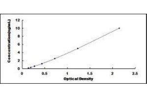 UL16 Binding Protein 2 (ULBP2) ELISA Kit
