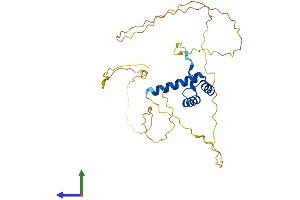 Protein Structure (PS) image for Distal-Less Homeobox 5 (DLX5) (AA 1-289) protein (His tag) (ABIN7556713)