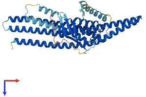 SNX32 Protein (AA 1-403) (His tag)