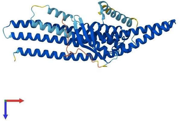 SNX32 Protein (AA 1-403) (His tag)