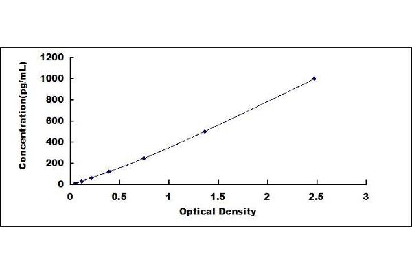 FGF9 ELISA Kit