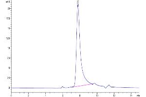 The purity of Human IL-17F is greater than 95 % as determined by SEC-HPLC.