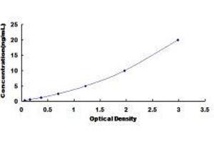 ELISA image for Butyrylcholinesterase (BCHE) ELISA Kit (ABIN418051)