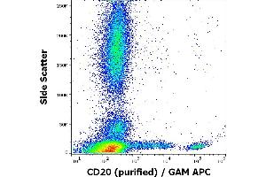 Flow cytometry surface staining pattern of human peripheral whole blood stained using anti-human CD20 (2H7) purified antibody (concentration in sample 0,6 μg/mL, GAM APC). (CD20 Antikörper)