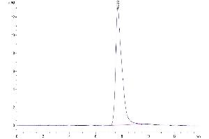 Size-exclusion chromatography-High Pressure Liquid Chromatography (SEC-HPLC) image for Amphiregulin (AREG) (AA 100-248) protein (Fc Tag) (ABIN7273805)