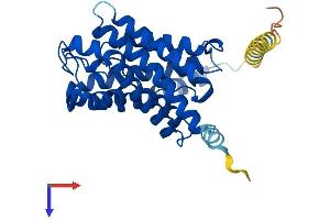 Aquaporin 7 Protein (AQP7) (AA 1-303) (His tag)