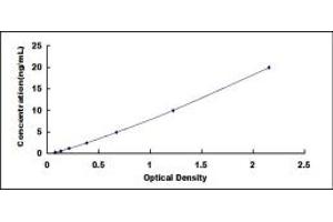 Typical standard curve (LRP4 ELISA Kit)