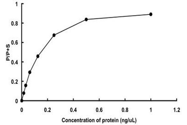 PIM3 Protein (AA 1-326) (GST tag)