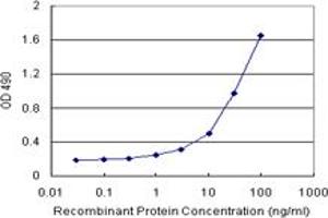 Sandwich ELISA detection sensitivity ranging from 1 ng/mL to 100 ng/mL. (POU6F1 (Human) Matched Antibody Pair)