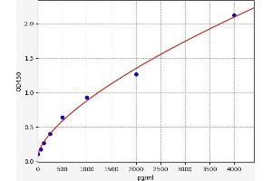 Nitric Oxide Synthase 3 (Endothelial Cell) (NOS3) ELISA Kit