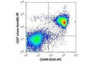 Flow Cytometry (FACS) image for anti-Tetraspanin 26 (TSPAN26) antibody (PE) (ABIN2662623) (CD37 Antikörper  (PE))