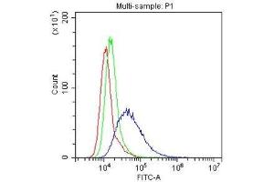 Flow Cytometry analysis of Hela cells using anti-LFA3 antibody .