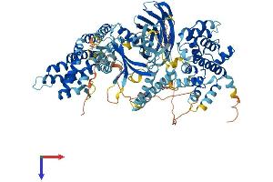 ABR Protein (AA 1-859) (His tag)