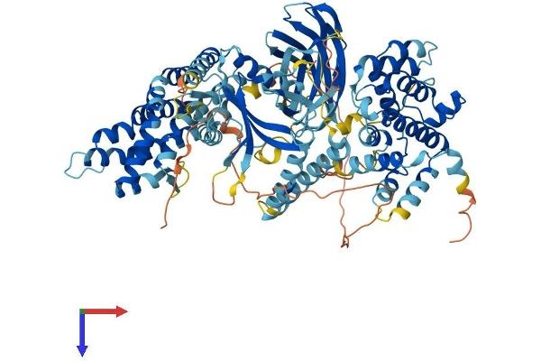 ABR Protein (AA 1-859) (His tag)