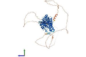 Protein Structure (PS) image for Chromodomain Protein, Y-Like (CDYL) (AA 1-593) protein (His tag) (ABIN7565201)