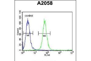 Flow cytometric analysis of A2058 cells (right histogram) compared to a negative control cell (left histogram). (ABHD14B Antikörper  (C-Term))