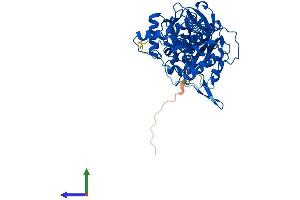 Protein Structure (PS) image for Aspartyl-tRNA Synthetase (DARS) (AA 1-501) protein (His tag) (ABIN7560213)