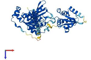 MOCS3 Protein (AA 1-460) (His tag)