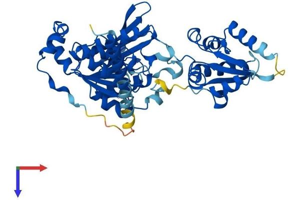 MOCS3 Protein (AA 1-460) (His tag)