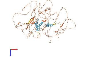 Sp3 Protein (AA 1-781) (His tag)
