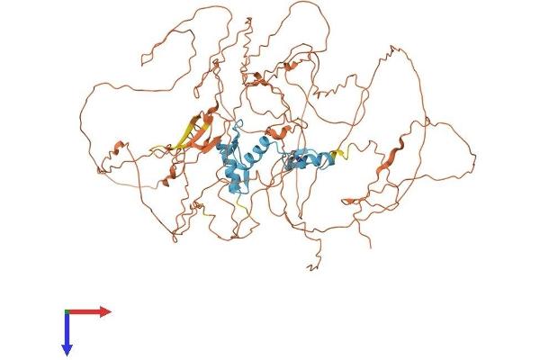Sp3 Protein (AA 1-781) (His tag)