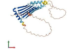 Protein Structure (PS) image for Myeloid Leukemia Factor 1 (MLF1) (AA 1-267) protein (His tag) (ABIN7561736)