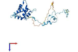 Tppp Protein (AA 1-219) (His tag)