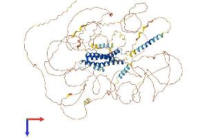DLGAP4 Protein (AA 1-992) (His tag)
