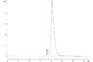 Size-exclusion chromatography-High Pressure Liquid Chromatography (SEC-HPLC) image for Discoidin Domain Receptor tyrosine Kinase 2 (DDR2) (AA 22-399) protein (His tag) (ABIN7274463)