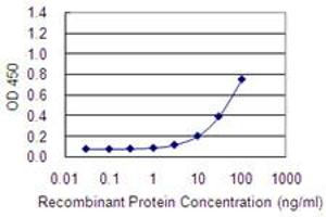 Detection limit for recombinant GST tagged HYAL4 is 1 ng/ml as a capture antibody. (HYAL4 Antikörper  (AA 357-456))