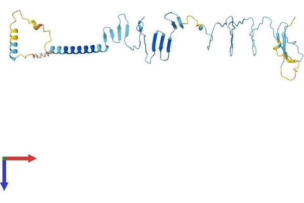 SGCB Protein (AA 1-318) (His tag)