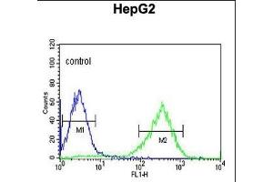 Flow Cytometry (FACS) image for anti-Hemochromatosis Type 2 (Juvenile) (HFE2) (AA 308-338), (C-Term) antibody (ABIN653652)