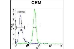 ARA Antibody (Center) (ABIN656834 and ABIN2846044) flow cytometric analysis of CEM cells (right histogram) compared to a negative control cell (left histogram). (PPARA Antikörper  (AA 153-181))