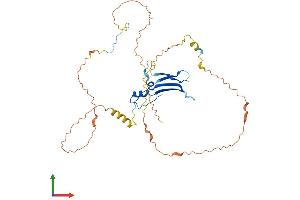 AlphaFold protein structure predicition of Mouse Recombinant Spata6l Protein, UniprotID B2RV46