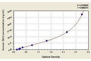 Typical standard curve (SLIT2 ELISA Kit)