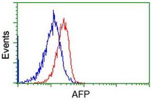 Image no. 1 for anti-alpha-Fetoprotein (AFP) antibody (ABIN1496485) (alpha Fetoprotein Antikörper)