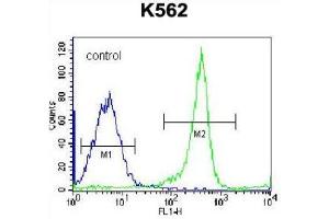 Flow Cytometry (FACS) image for anti-Eukaryotic Translation Initiation Factor 3 Subunit C (EIF3C) (AA 126-155), (N-Term) antibody (ABIN952048)