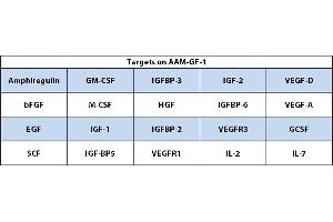 Image no. 1 for Mouse Growth Factor Array C2 (ABIN4955913) (Maus Growth Factor Array C2)